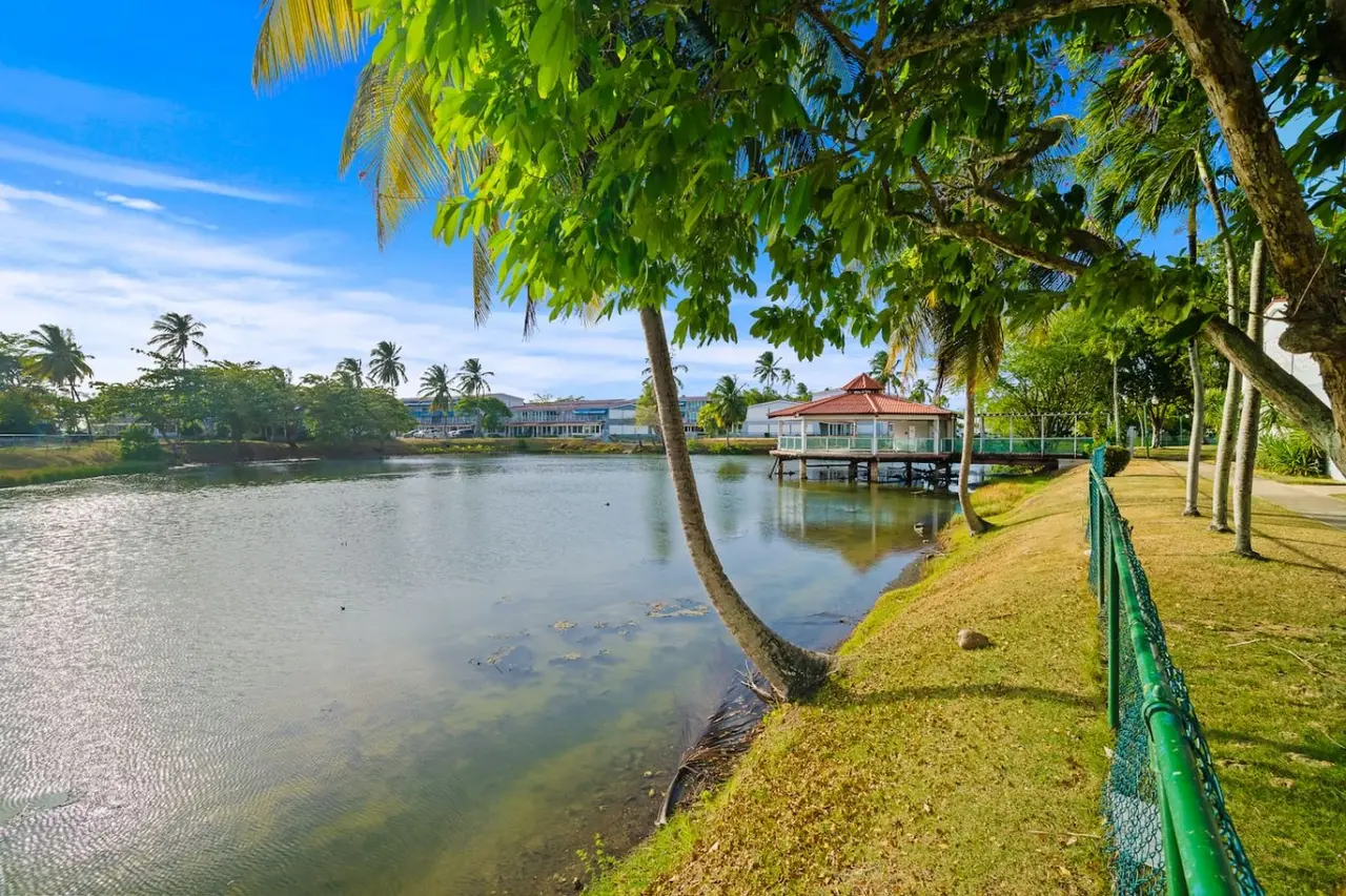 View of a lake with palm trees and a gazebo — Beachside Villa Dorado Pool Beach Access