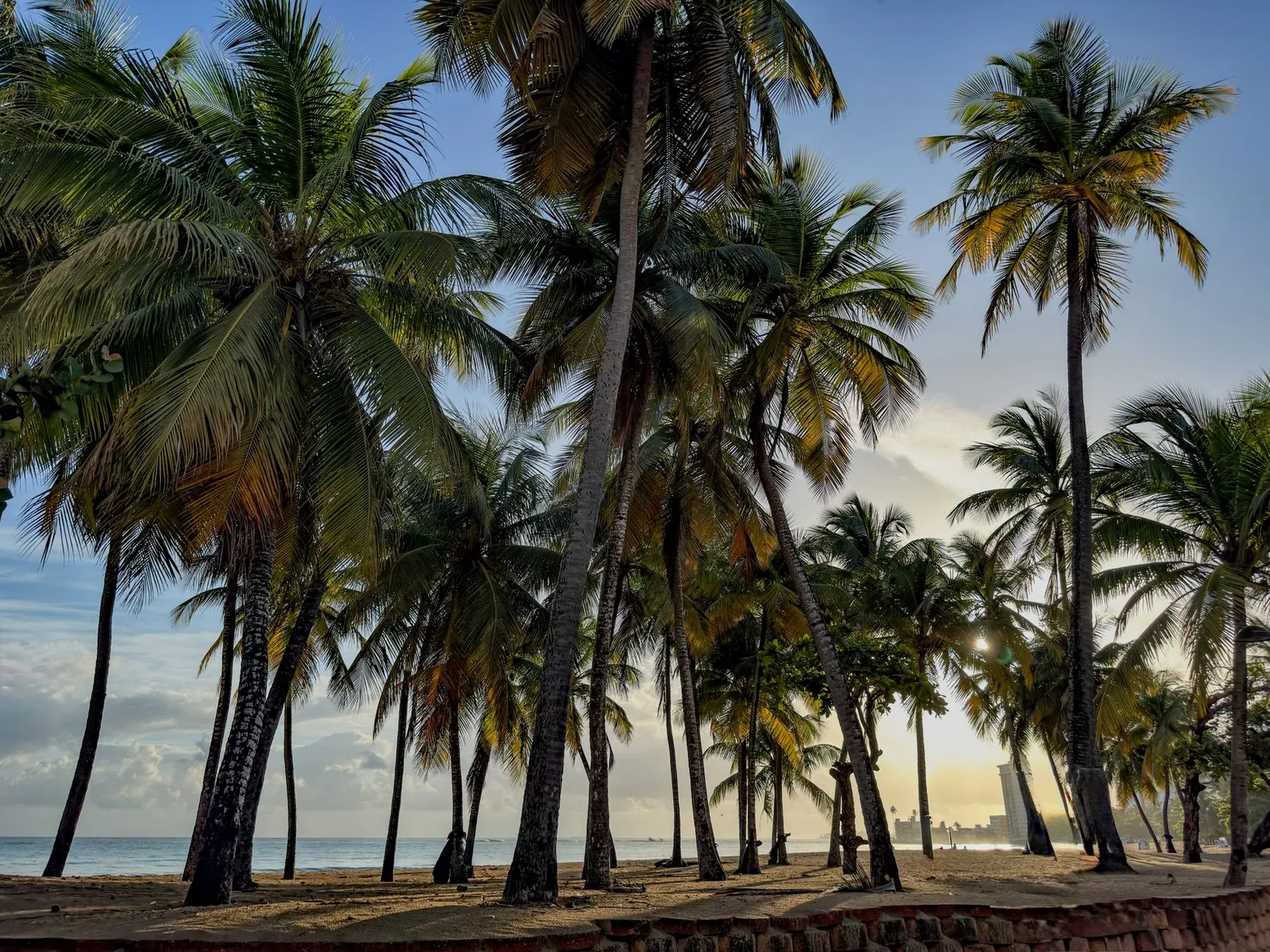 Palm trees silhouetted against the sunrise on a San Juan beach, Puerto Rico.