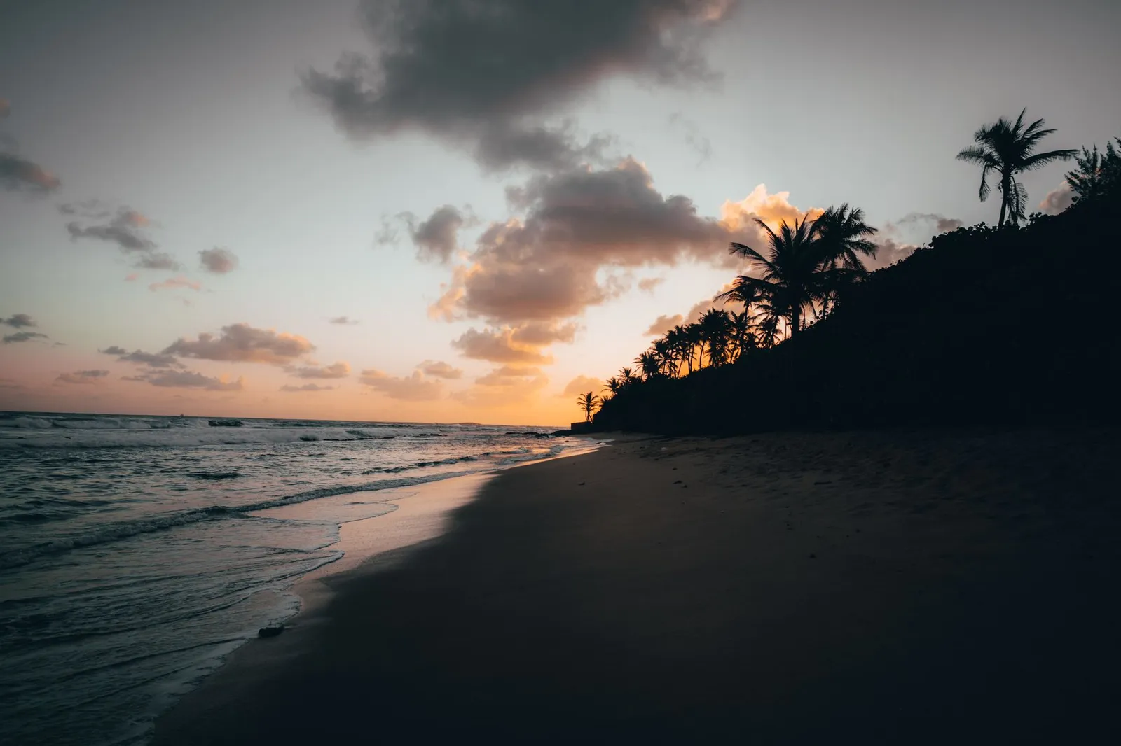 Experience a tranquil sunset at a tropical beach in San Juan with silhouetted palm trees.